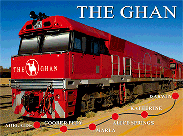 3D Placemats Pack of 2 Australia 3D Lenticular Printed Aussie Animals Wildlife Designs - fair-dinkum-gifts