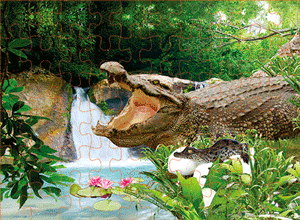 3D Jigsaw Puzzles Tins 60pc Aussie Animals Australian Games **NEW - JUST ARRIVED** - fair-dinkum-gifts