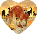 3D Heart Magnets Aussie Animals Australian Themes Fridge Magnets Love Hearts - fair-dinkum-gifts