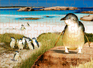3D Jigsaw Puzzles Tins 60pc Aussie Animals Australian Games **NEW - JUST ARRIVED** - fair-dinkum-gifts