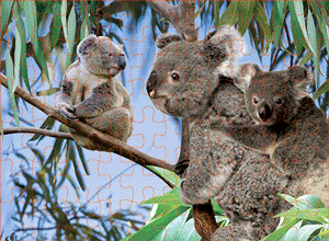 3D Jigsaw Puzzles Tins 60pc Aussie Animals Australian Games **NEW - JUST ARRIVED** - fair-dinkum-gifts