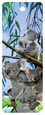 Pack of 5 x 3D Bookmarks LENTICULAR Book Marks Aussie Australian Theme Animals Souvenirs - fair-dinkum-gifts