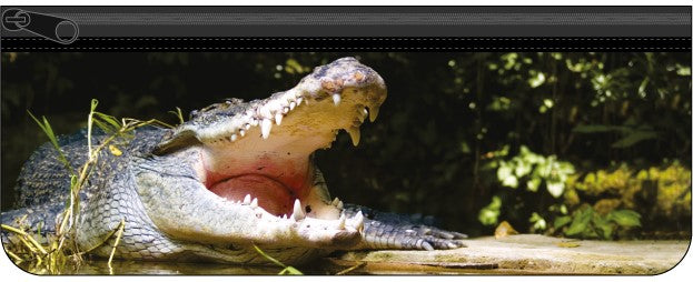 Large Neoprene Pencil Case