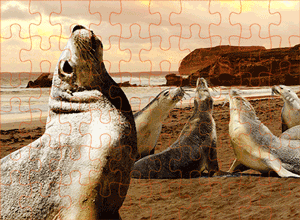 3D Jigsaw Puzzles Tins 60pc Aussie Animals Australian Games **NEW - JUST ARRIVED** - fair-dinkum-gifts