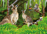 3D Jigsaw Puzzles Tins 60pc Aussie Animals Australian Games **NEW - JUST ARRIVED** - fair-dinkum-gifts