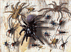 3D Jigsaw Puzzles Tins 60pc Aussie Animals Australian Games **NEW - JUST ARRIVED** - fair-dinkum-gifts