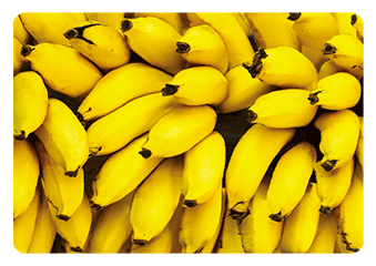 3D Magnets Group 3 - fair-dinkum-gifts