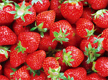 3D Placemats Pack of 2 Australia 3D Lenticular Printed Aussie Animals Wildlife Designs - fair-dinkum-gifts