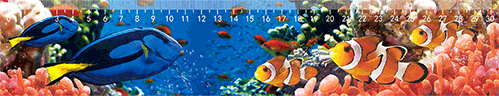 3D Ruler 30cm Aussie Animals Australian Native Designs Lenticular Printed - fair-dinkum-gifts