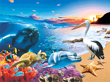 3D Placemats Pack of 2 Australia 3D Lenticular Printed Aussie Animals Wildlife Designs - fair-dinkum-gifts