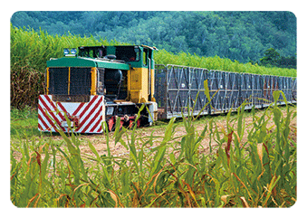 3D Magnets Group 3 - fair-dinkum-gifts