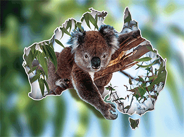 3D Placemats Pack of 2 Australia 3D Lenticular Printed Aussie Animals Wildlife Designs - fair-dinkum-gifts