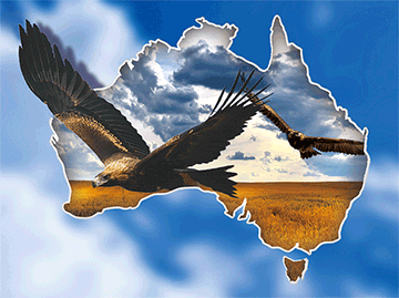 3D Placemats Pack of 2 Australia 3D Lenticular Printed Aussie Animals Wildlife Designs - fair-dinkum-gifts