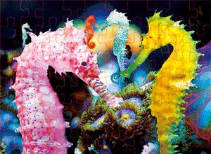 3D Jigsaw Puzzles Tins 60pc Aussie Animals Australian Games **NEW - JUST ARRIVED** - fair-dinkum-gifts