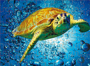 3D Jigsaw Puzzles Tins 60pc Aussie Animals Australian Games **NEW - JUST ARRIVED** - fair-dinkum-gifts