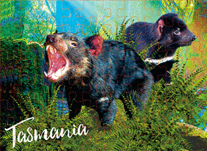 3D Jigsaw Puzzles Tins 60pc Aussie Animals Australian Games **NEW - JUST ARRIVED** - fair-dinkum-gifts