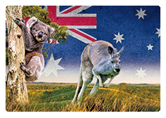 3D Magnets Group 3 - fair-dinkum-gifts