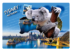 3D Magnets Group 3 - fair-dinkum-gifts