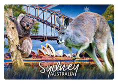 3D Magnets Group 3 - fair-dinkum-gifts