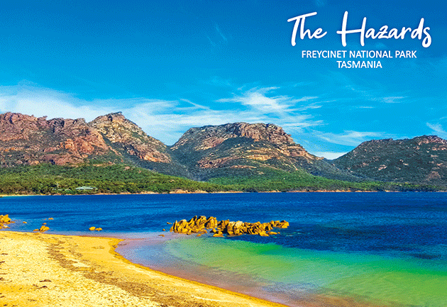 3D Magnets Group 3 - fair-dinkum-gifts