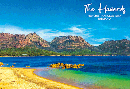 3D Magnets Group 3 - fair-dinkum-gifts