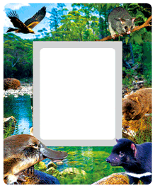 3D Photo Frame Magnets - Group 1 - fair-dinkum-gifts