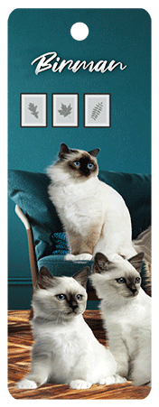 3D Cats Bookmarks With Tassel - 12 different breeds - fair-dinkum-gifts