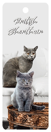 3D Cats Bookmarks With Tassel - 12 different breeds - fair-dinkum-gifts