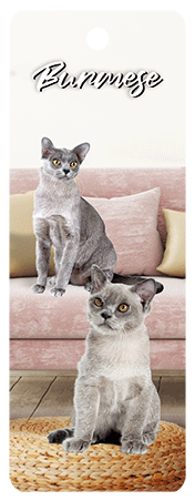 3D Cats Bookmarks With Tassel - 12 different breeds - fair-dinkum-gifts