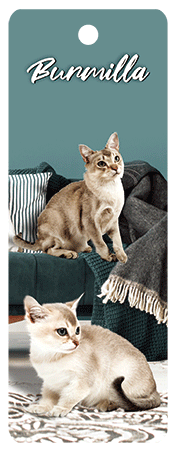 3D Cats Bookmarks With Tassel - 12 different breeds - fair-dinkum-gifts