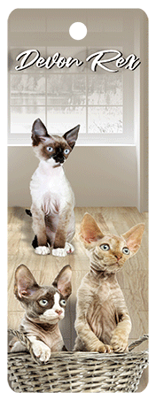 3D Cats Bookmarks With Tassel - 12 different breeds - fair-dinkum-gifts