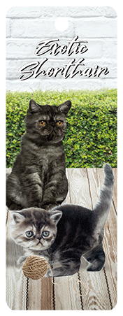 3D Cats Bookmarks With Tassel - 12 different breeds - fair-dinkum-gifts