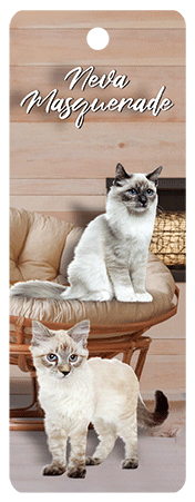 3D Cats Bookmarks With Tassel - 12 different breeds - fair-dinkum-gifts