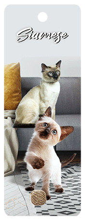 3D Cats Bookmarks With Tassel - 12 different breeds - fair-dinkum-gifts