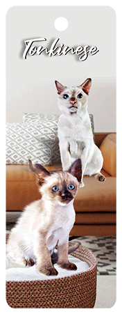 3D Cats Bookmarks With Tassel - 12 different breeds - fair-dinkum-gifts