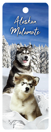 3D Dogs Bookmarks With Tassel - 24 different breeds - fair-dinkum-gifts