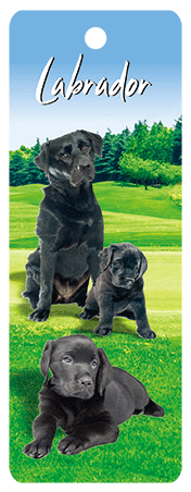 3D Dogs Bookmarks With Tassel - 24 different breeds - fair-dinkum-gifts