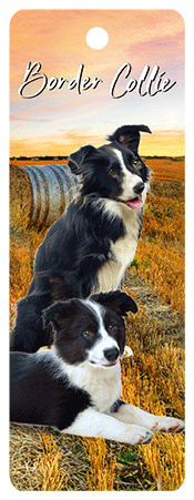 3D Dogs Bookmarks With Tassel - 24 different breeds - fair-dinkum-gifts