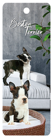 3D Dogs Bookmarks With Tassel - 24 different breeds - fair-dinkum-gifts