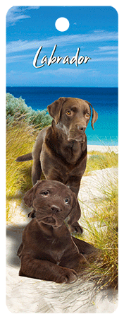 3D Dogs Bookmarks With Tassel - 24 different breeds - fair-dinkum-gifts