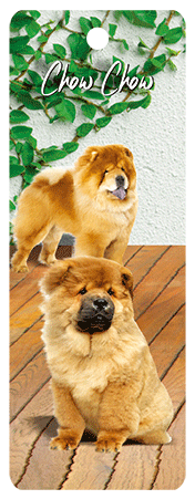 3D Dogs Bookmarks With Tassel - 24 different breeds - fair-dinkum-gifts