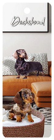 3D Dogs Bookmarks With Tassel - 24 different breeds - fair-dinkum-gifts