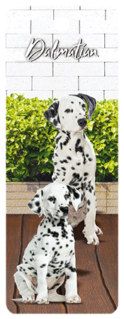 3D Dogs Bookmarks With Tassel - 24 different breeds - fair-dinkum-gifts