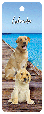 3D Dogs Bookmarks With Tassel - 24 different breeds - fair-dinkum-gifts