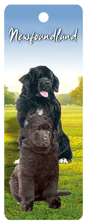 3D Dogs Bookmarks With Tassel - 24 different breeds - fair-dinkum-gifts