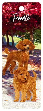 3D Dogs Bookmarks With Tassel - 24 different breeds - fair-dinkum-gifts