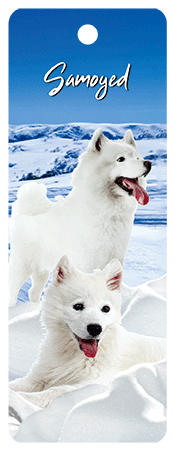 3D Dogs Bookmarks With Tassel - 24 different breeds - fair-dinkum-gifts