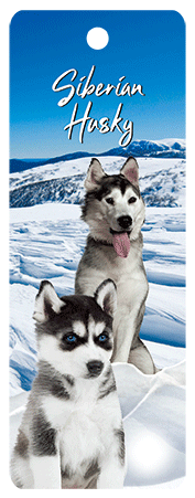 3D Dogs Bookmarks With Tassel - 24 different breeds - fair-dinkum-gifts