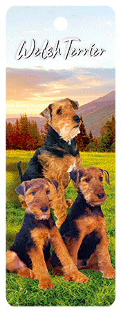 3D Dogs Bookmarks With Tassel - 24 different breeds - fair-dinkum-gifts