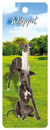 3D Dogs Bookmarks With Tassel - 24 different breeds - fair-dinkum-gifts